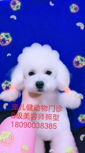 创意造型