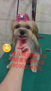 创意造型