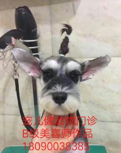创意造型