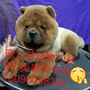 创意造型
