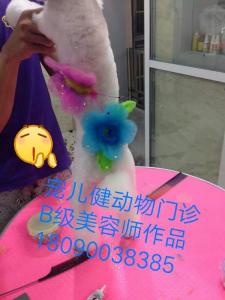 雕花造型